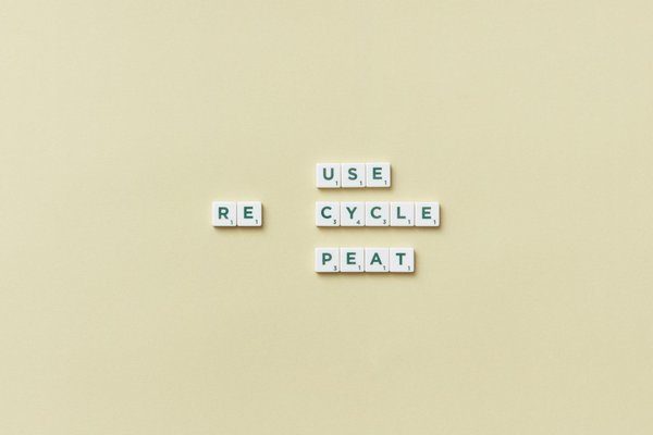 Les défis de l'activisme environnemental face aux fake news